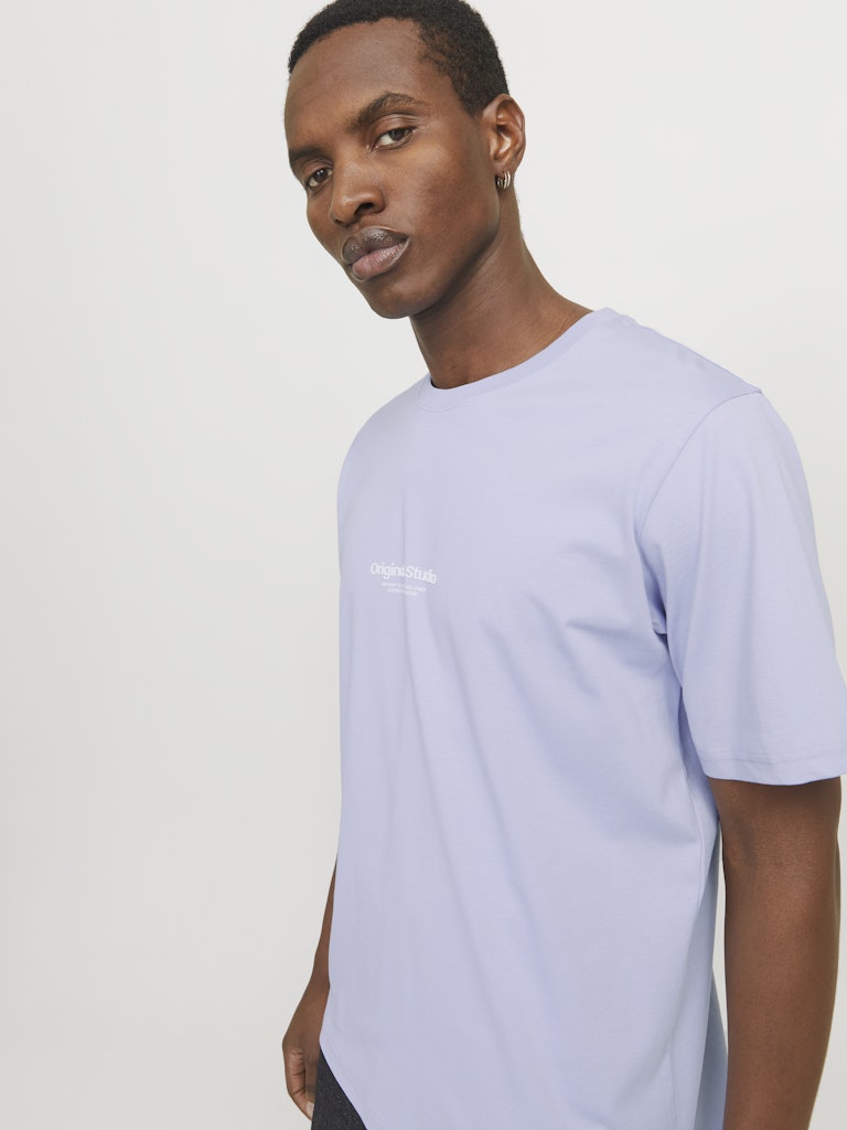 JACK & JONES - T-SHIRT / JORVESTERBRO TEE SS CREW NECK NOOS