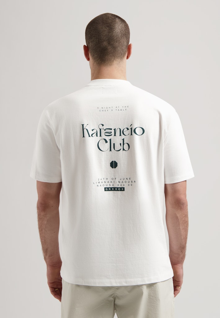 DSTREZZED - T-SHIRT / COLLIN