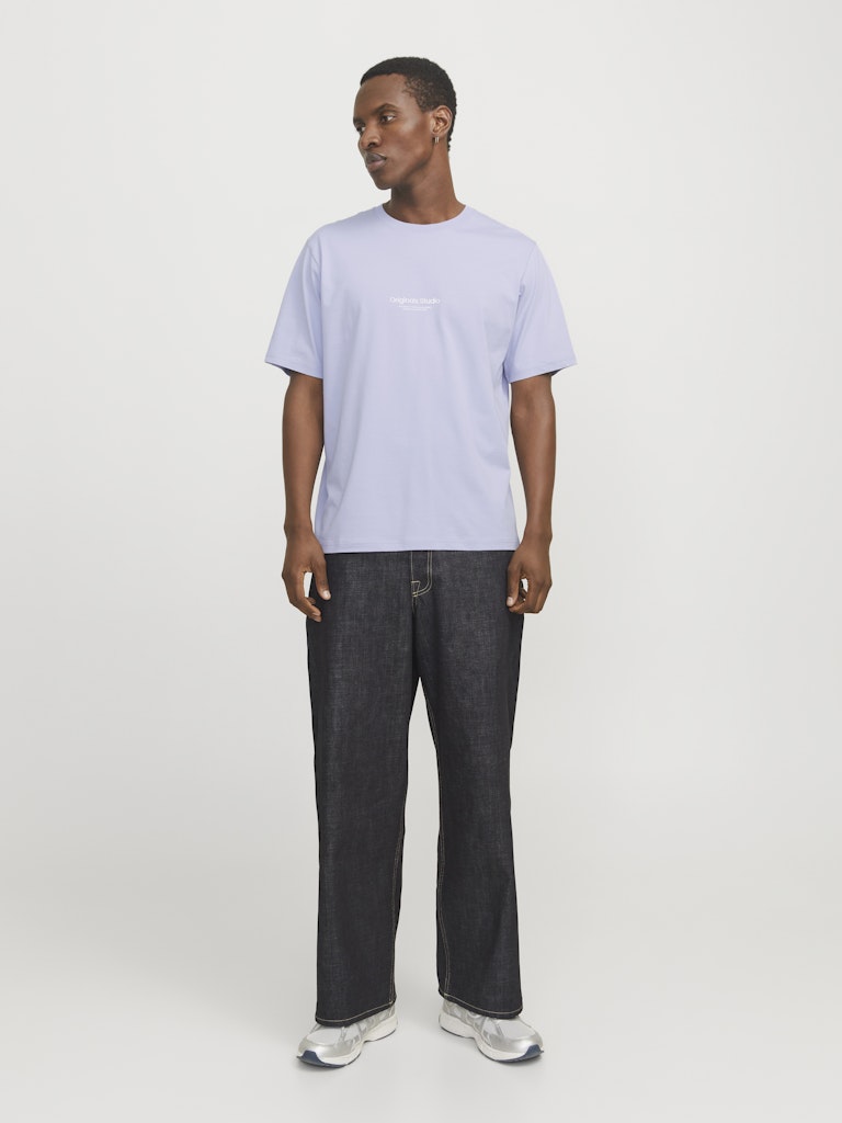 JACK & JONES - T-SHIRT / JORVESTERBRO TEE SS CREW NECK NOOS