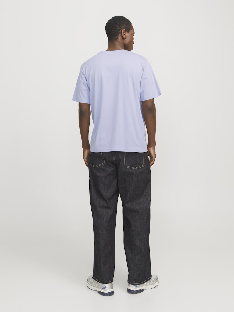 JACK & JONES - T-SHIRT / JORVESTERBRO TEE SS CREW NECK NOOS