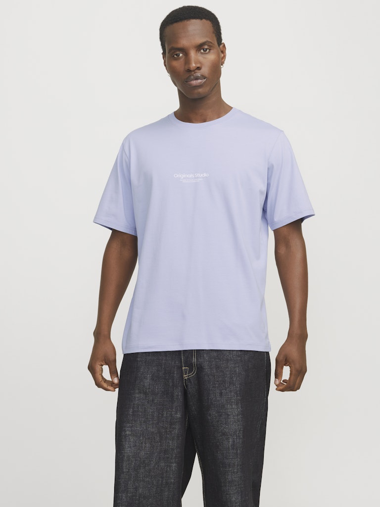 JACK & JONES - T-SHIRT / JORVESTERBRO TEE SS CREW NECK NOOS