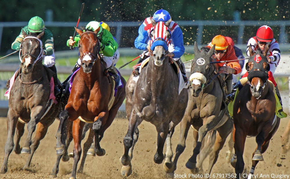 Apuestas al Kentucky Derby en 1xbet