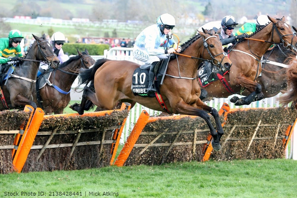 Apuestas en Cheltenham Festival en William Hil