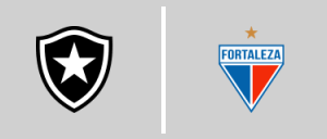 Botafogo de Futebol e Regatas vs Fortaleza FC CE