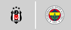 Beşiktaş J.K. vs Fenerbahçe S.K.