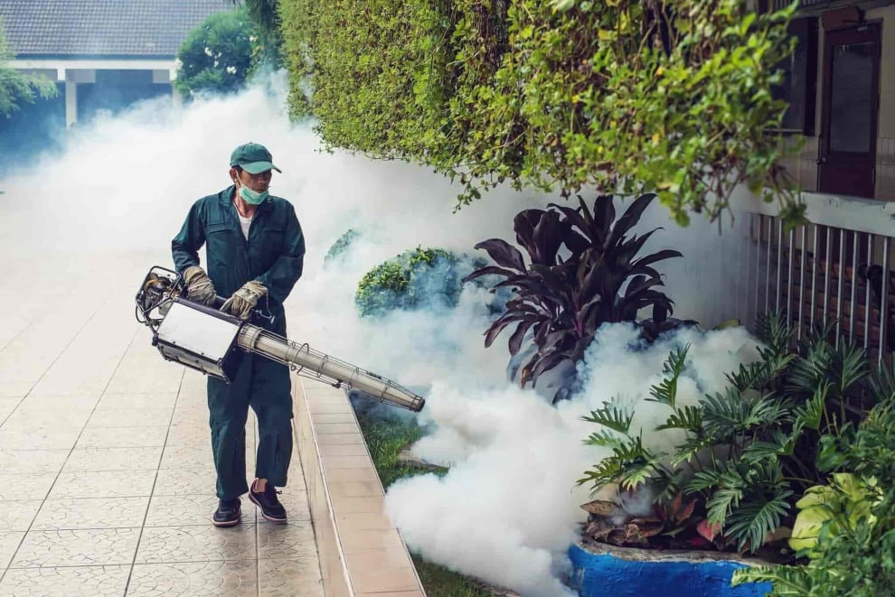 exterminator near me