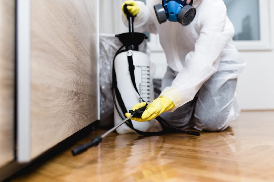 exterminator near me