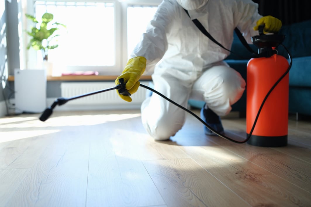 exterminator near me