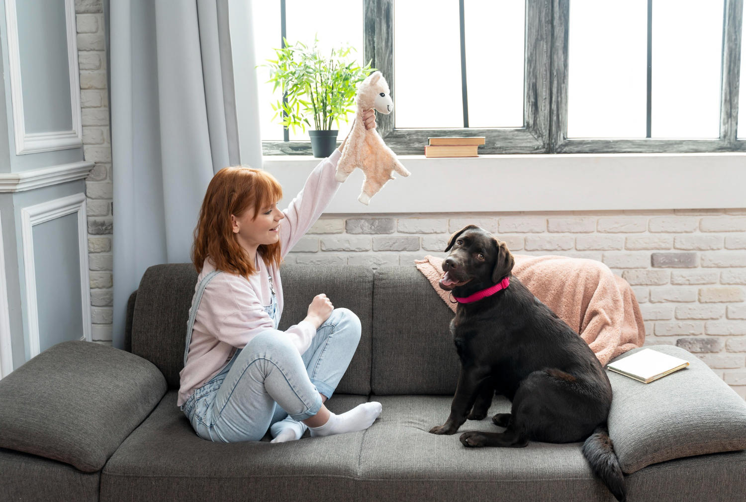 How to Keep Your Labrador Retriever Safe & Happy When Left Home Alone