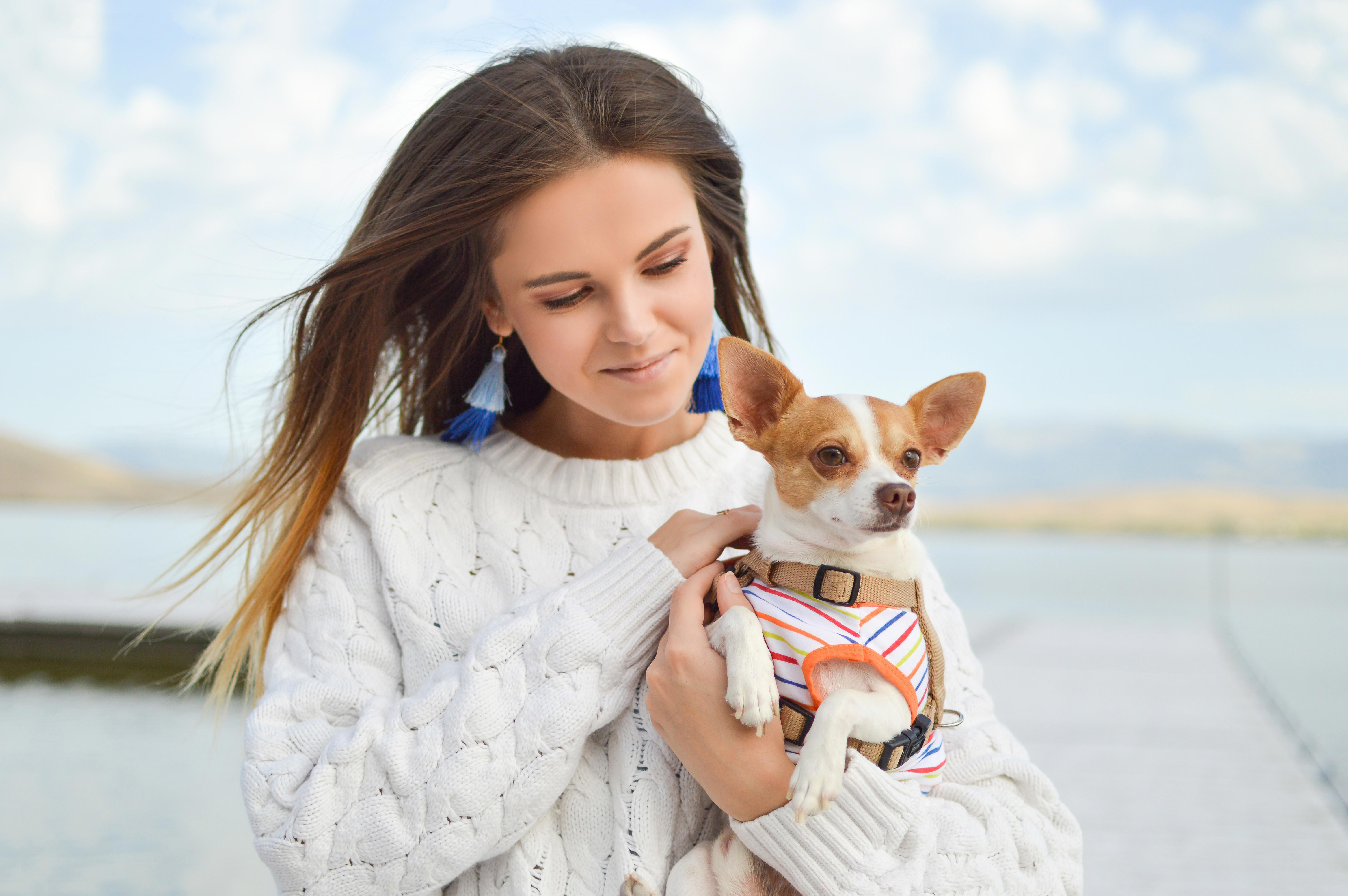 The Benefits of Feeding Your Chihuahua a Raw Diet