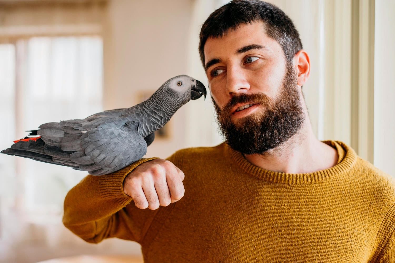 Discovering the Perfect Pet Bird for You: A Guide to Choosing the Right Feathered Friend