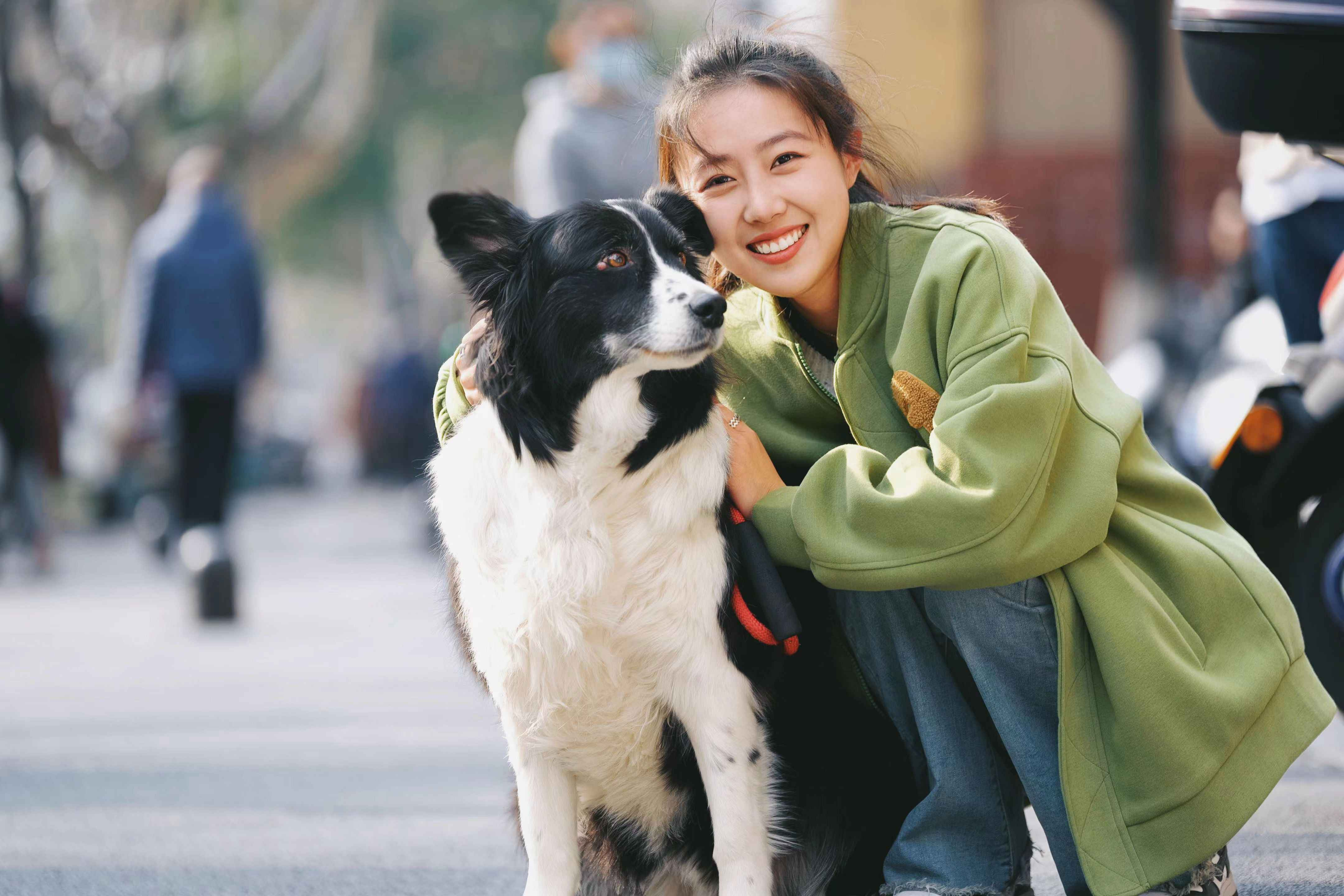 Keeping Up with a Border Collie: A Guide for Seniors Considering Adding a Furry Friend to Their Home