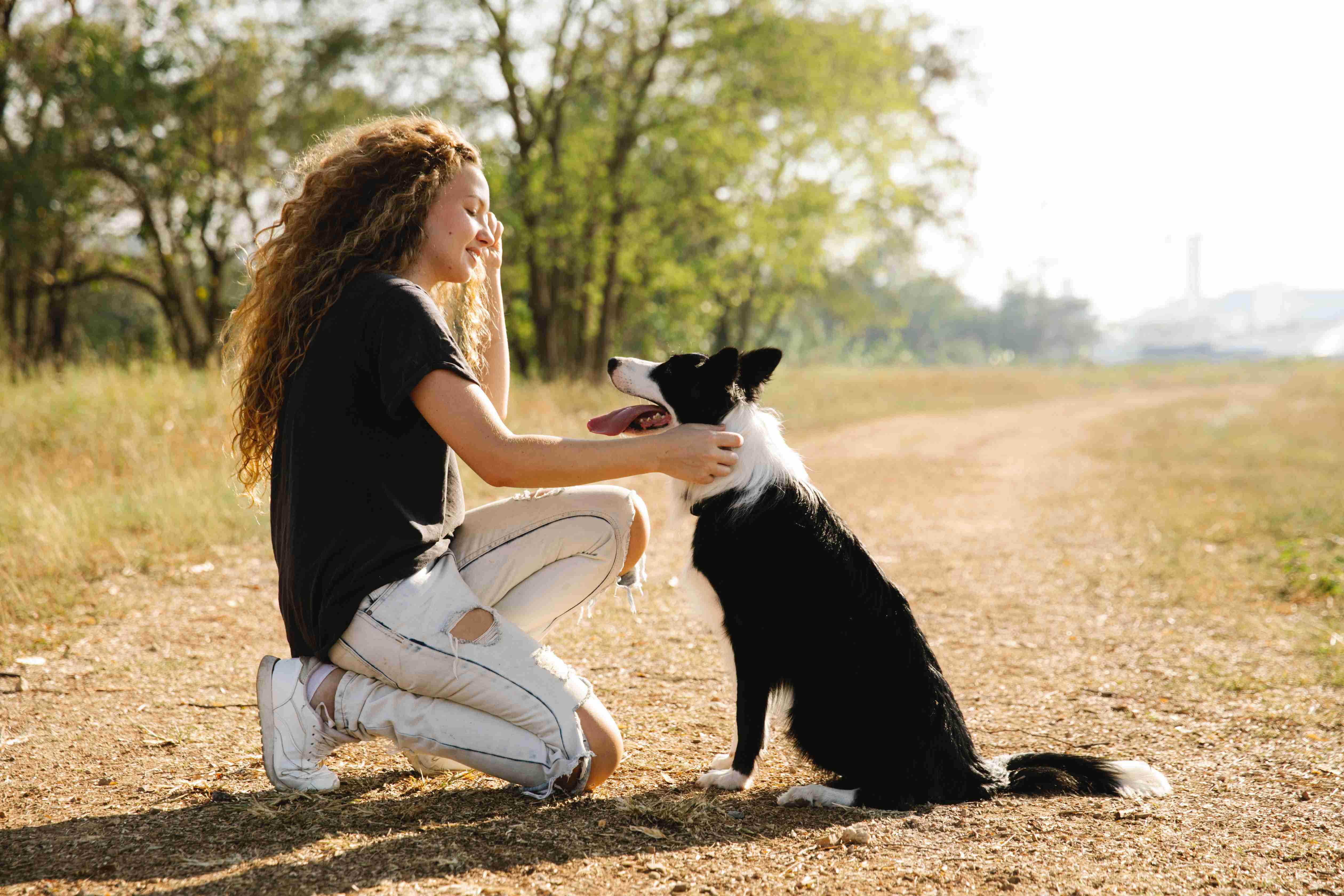 Protecting Your Furry Friend: How to Spot the Signs of Parasites in Border Collies