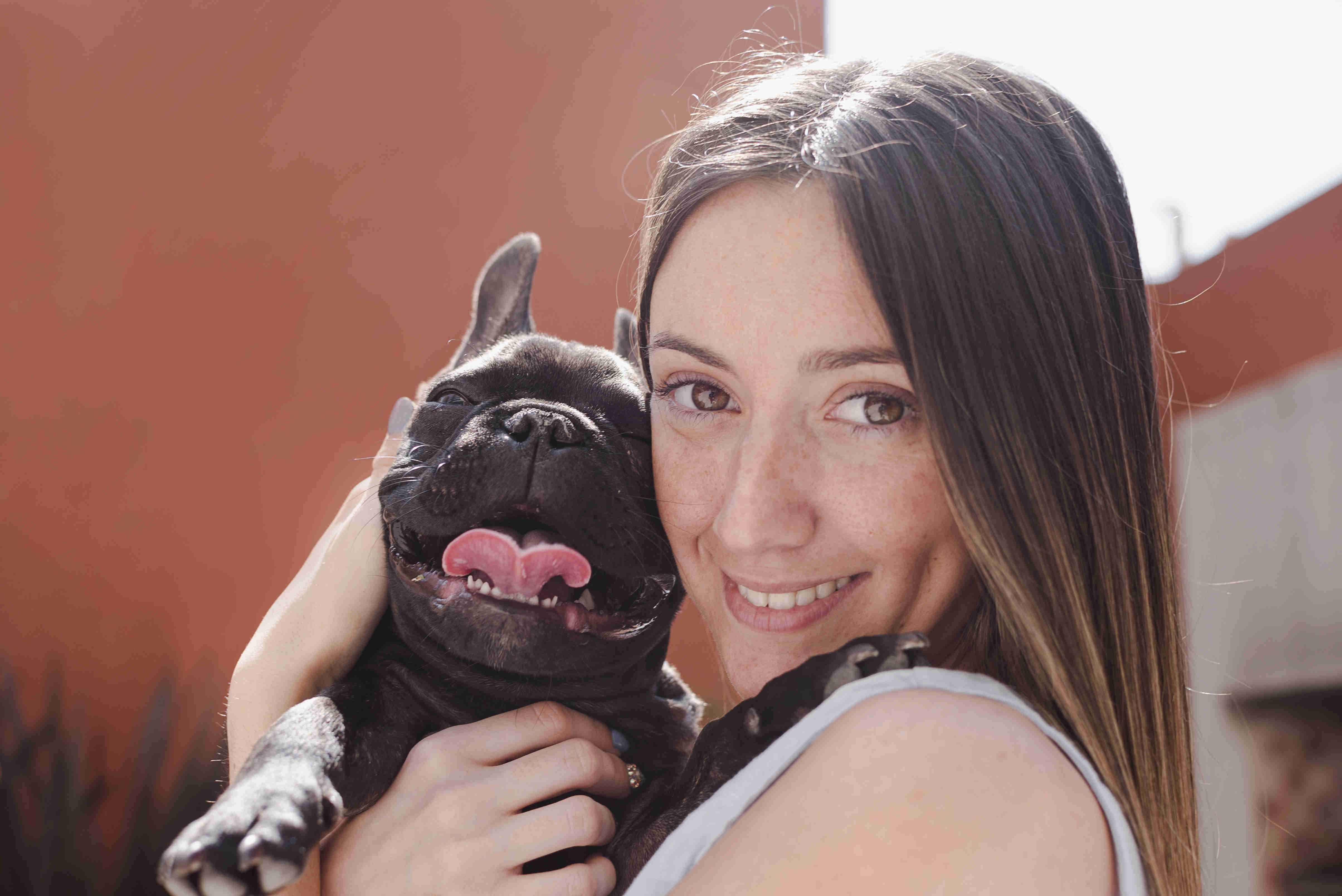 Top Tips to Prevent Car Sickness in French Bulldog Puppies