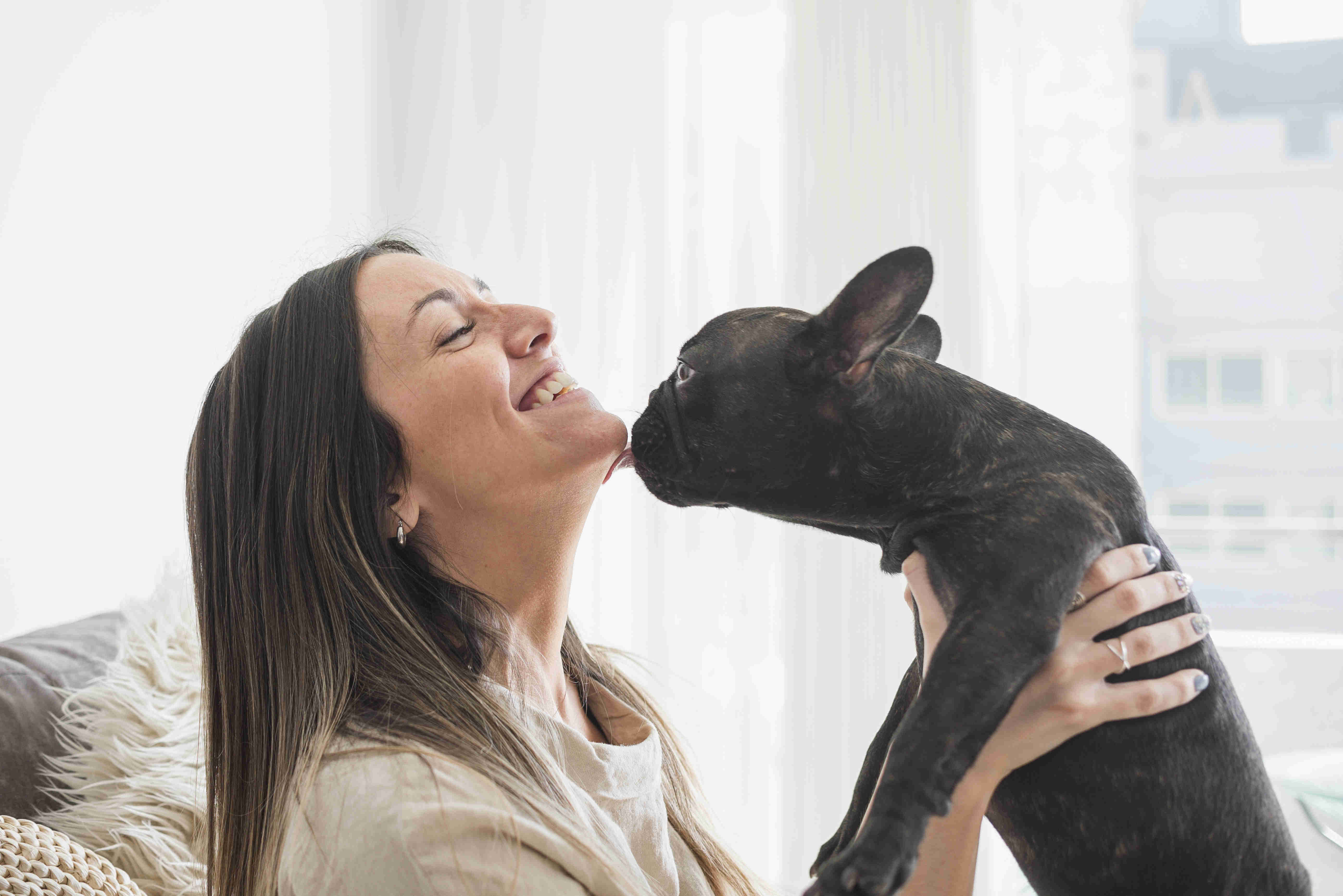 Stop Resource Guarding in French Bulldogs: Effective Ways to Address the Issue