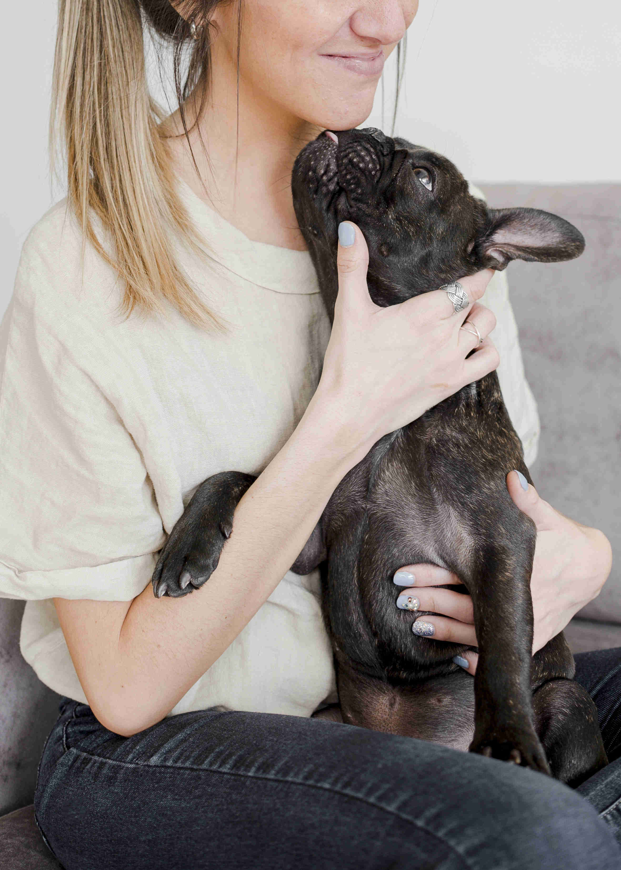 5 Tips for Dealing with Food and Object Snatching French Bulldogs