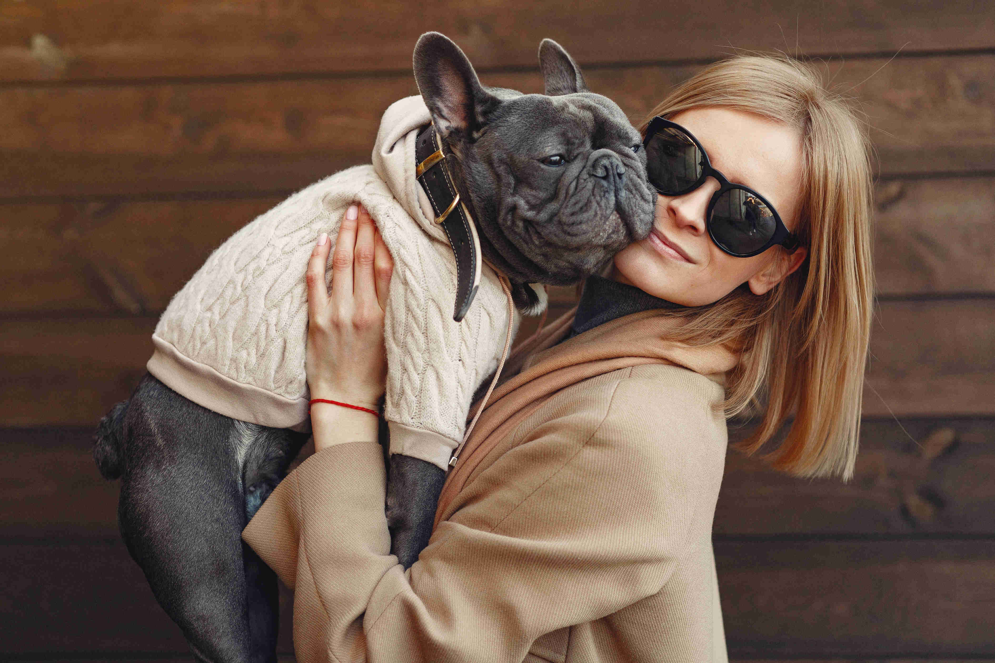 Top Tips for Training Your French Bulldog Puppy: Teach Basic Commands like Sit, Stay, and Come