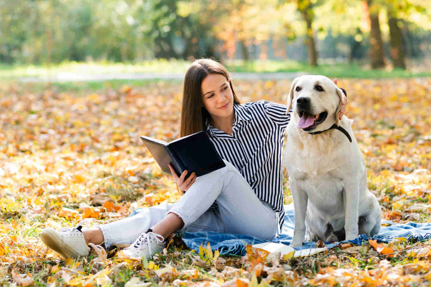 10 Reasons Why Labrador Retrievers Are the Perfect Family Pets
