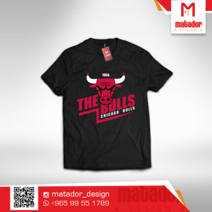 Chicago Bull the Bulls 1960 t-shirt