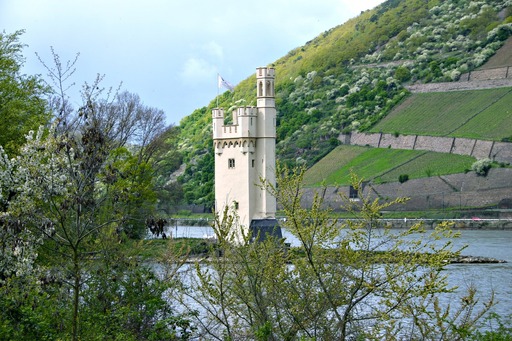 Fotografen in Bingen am Rhein finden