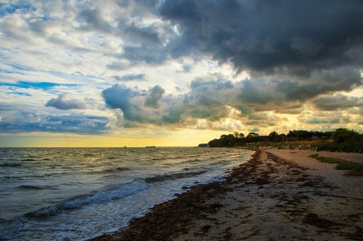 Fotografen in Eckernförde finden