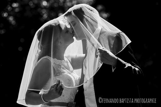 Fernando Baptista Photographie | Hochzeit | Hundefotograf auf alleFotografen