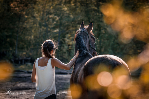 Samirah Fotografie | Pferde | Landschaftsfotograf auf alleFotografen