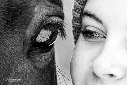 Samirah Fotografie | Pferde | Kinderfotograf auf alleFotografen