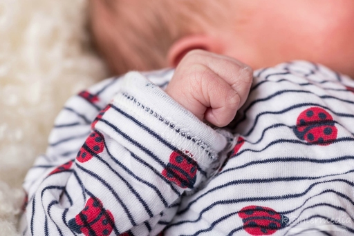 Stefan Kohler | Newborn | Babyfotograf auf alleFotografen