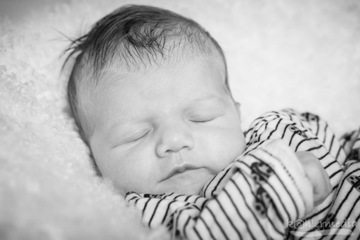 Stefan Kohler | Newborn | Kinderfotograf auf alleFotografen