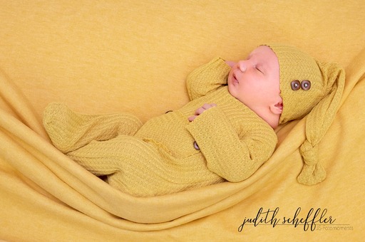 Judith Scheffler Fotografie | Neugeborenen Fotografie | Paarfotograf auf alleFotografen