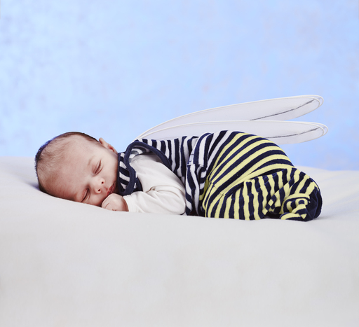FotoLois | Baby/Kinder | Tierfotograf auf alleFotografen