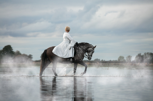 Fotografie Victoria Oldenburg | Pferdefotografie | Tierfotograf auf alleFotografen