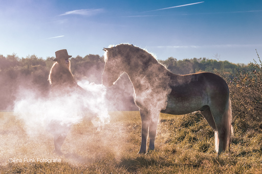 Ena Funk Fotografie | Horses. | Tierfotograf auf alleFotografen