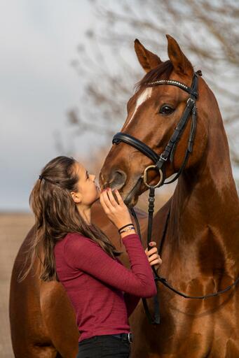 P&O Fotografie | Pferde | Pferdefotograf auf alleFotografen
