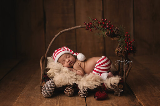 Bianca Becker Fotografie | Newborn | Kinderfotograf auf alleFotografen