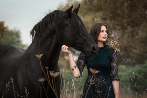 Photosie | Pferde | Pferdefotograf auf alleFotografen