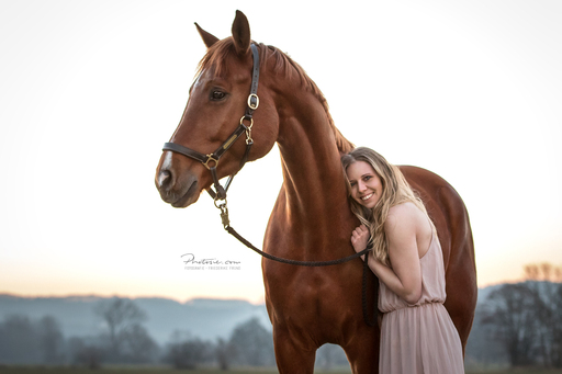Photosie | Pferde | Hochzeitsfotograf auf alleFotografen