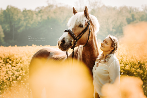 Photosie | Pferde | Tierfotograf auf alleFotografen