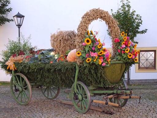 Otto Durst | Landwirtschaft | Foodfotograf auf alleFotografen