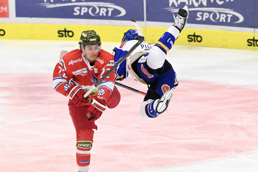 hockey sports photos | Sport | Sportfotograf auf alleFotografen