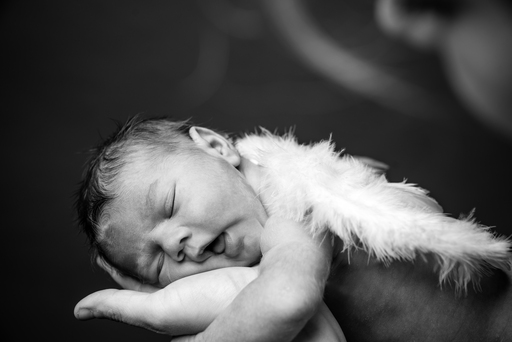 Lichtkegel-Fotografie | Baby | Kinderfotograf auf alleFotografen
