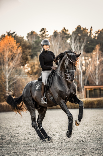 Cora M. Jennissen | Fine Art Tierfotografie | Pferdefotograf auf alleFotografen