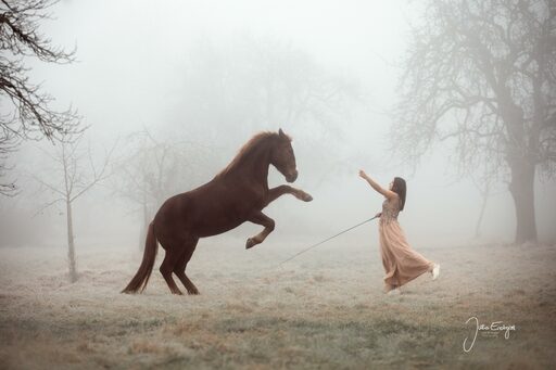 Julia Endrejat Photography | Pferde | Hochzeitsfotograf auf alleFotografen