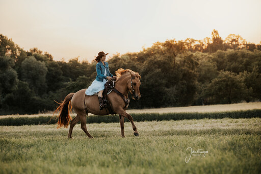 Julia Endrejat Photography | Pferde | Aktfotograf auf alleFotografen