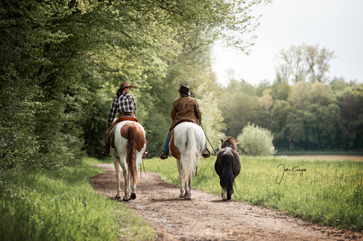 Julia Endrejat Photography | Pferde | Tierfotograf auf alleFotografen