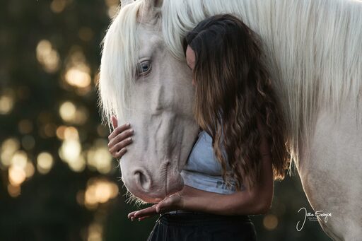 Julia Endrejat Photography | Pferde | Tierfotograf auf alleFotografen