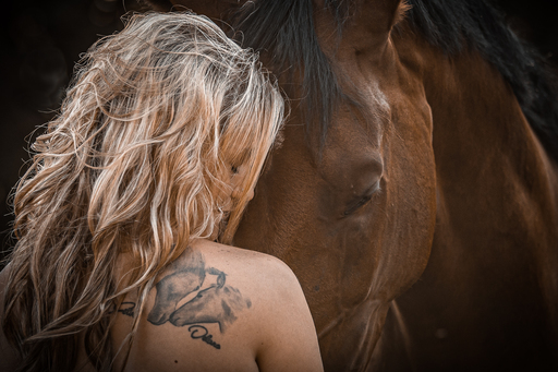 Anifellow - Portraits & Fotografie | Pferdefotografie | Tierfotograf auf alleFotografen