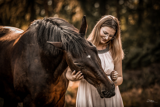 Anifellow - Portraits & Fotografie | Pferdefotografie | Pferdefotograf auf alleFotografen