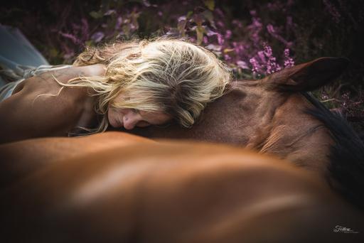 Anifellow - Portraits & Fotografie | Pferdefotografie | Hundefotograf auf alleFotografen